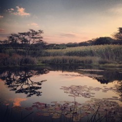 Danielle Millar - Waterkloof Heights, Gauteng South Africa - 2nd Place - Sunset